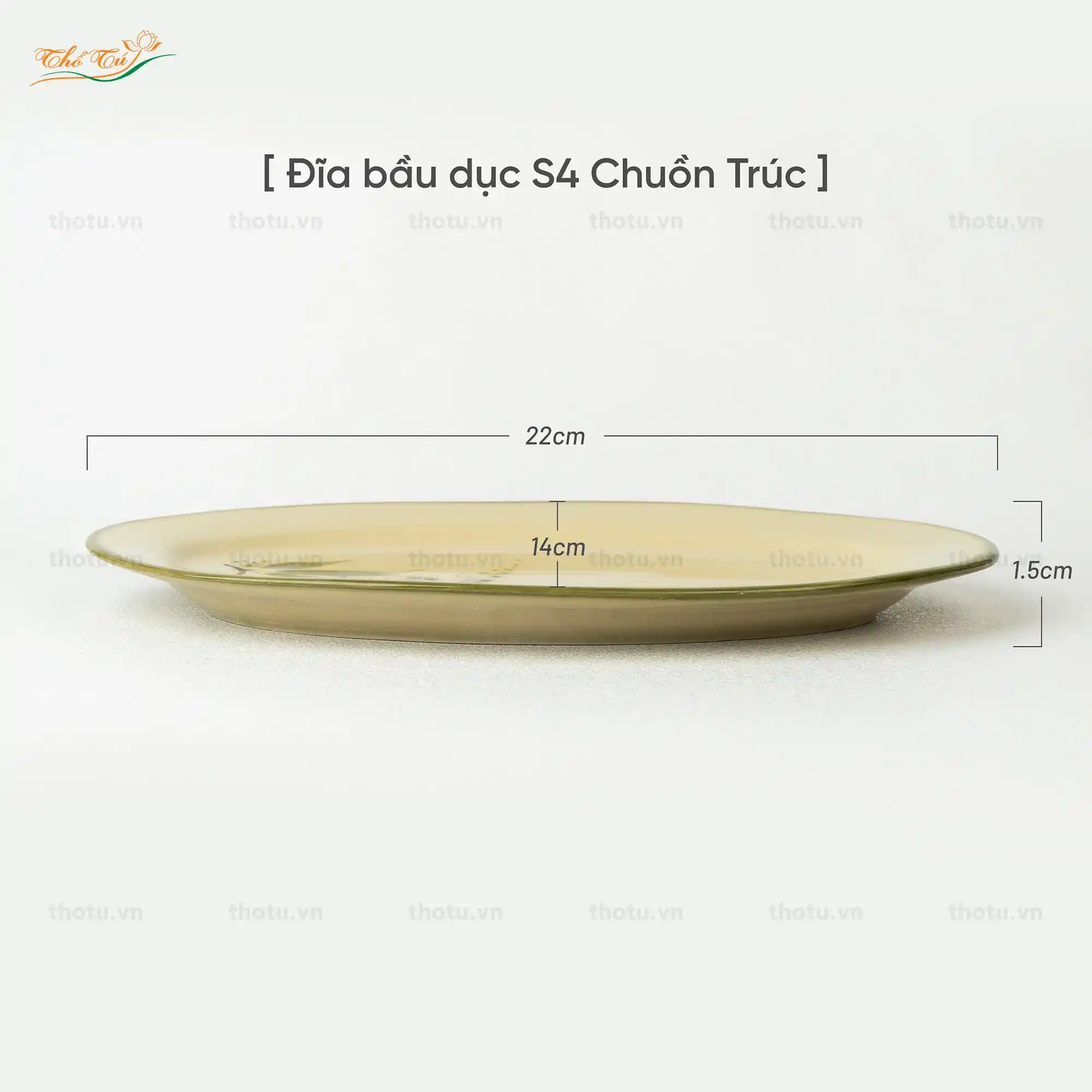 Đĩa bầu dục chuồn trúc Đĩa bầu dục chuồn trúc