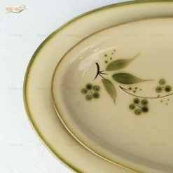 Đĩa bầu dục chuồn trúc