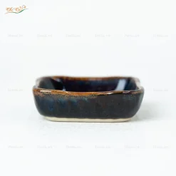Gia Vị Vuông Men Hỏa Biến Xanh Lam