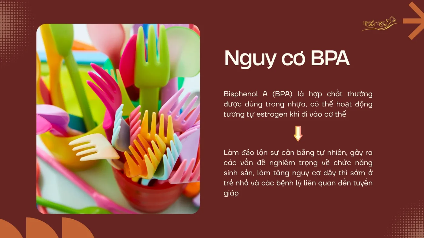 Bát đĩa Thổ Tú