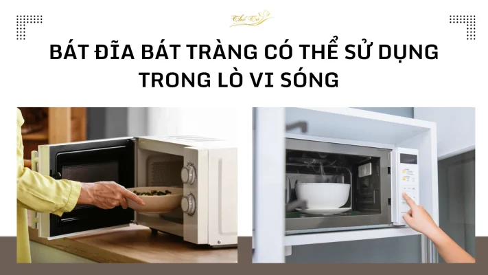 Bát đĩa gốm sứ dùng được trong lò vi sóng